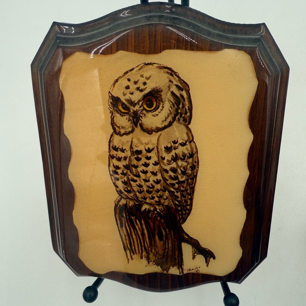 Vintage MCM Eagle Owl Decoupage Wall Hanging Wood Plaque Handmade Thayer 6” X 5”